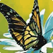 Butterfly Butterfly