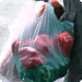Plastic bags Plastic bags