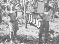 Alfred Vogel with a beekeeper Alfred Vogel with a beekeeper