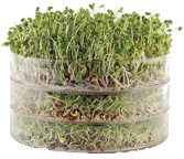 BioSnacky 3-Tier Germinator