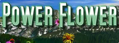 POWER FLOWER
