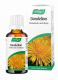 Dandelion tincture