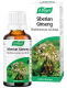 Siberian Ginseng