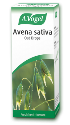 Avena sativa