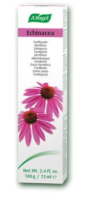 Echinacea herbal toothpaste