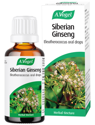 Siberian Ginseng