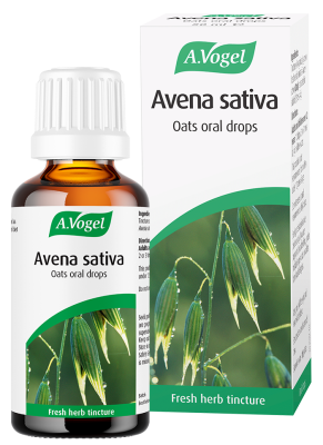 Avena sativa