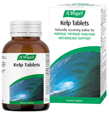 KelpTablets