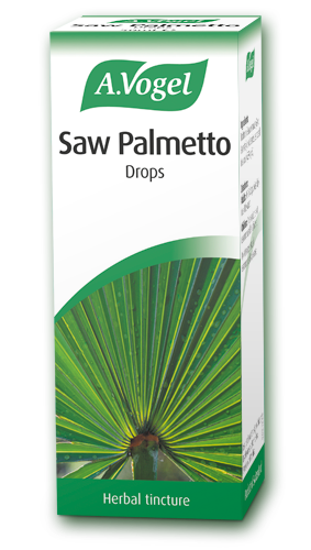 saw palmetto from a
